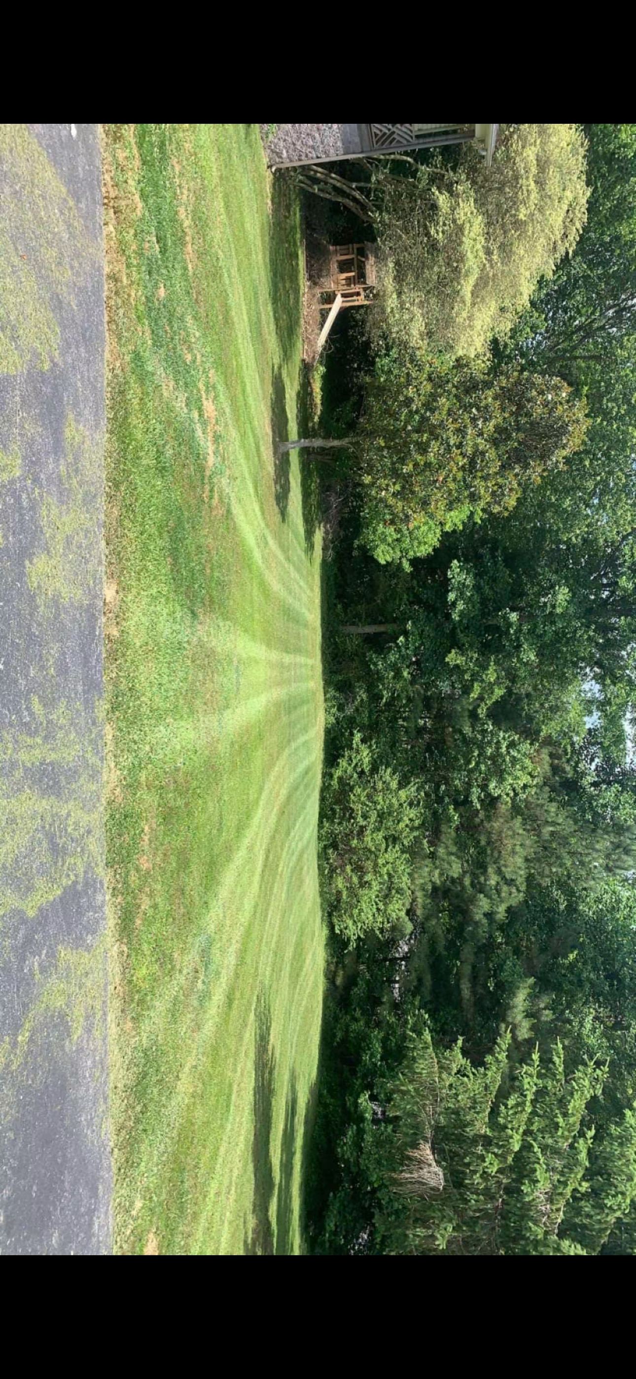 Precision Lawn Mowing